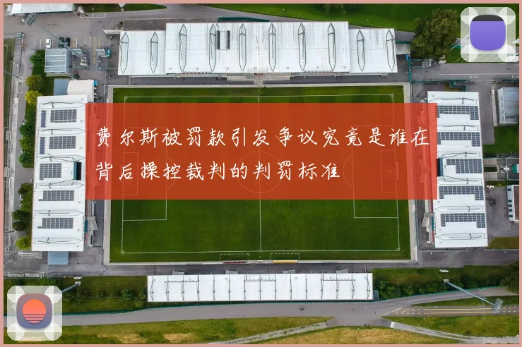 费尔斯被罚款引发争议究竟是谁在背后操控裁判的判罚标准